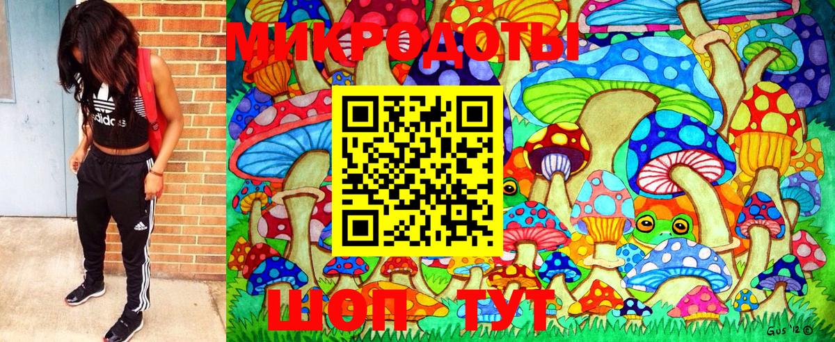 Узловая  Галлюциногенные грибы мицелий  Вход с VPN  Псилоцибиновые грибы Psilocybe 